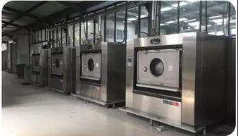 沈阳德裕自动化设备 隔离式双扉清洗消毒机的创新应用与行业价值